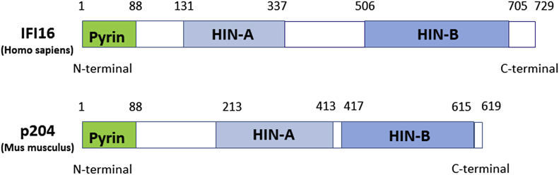 Figure 2