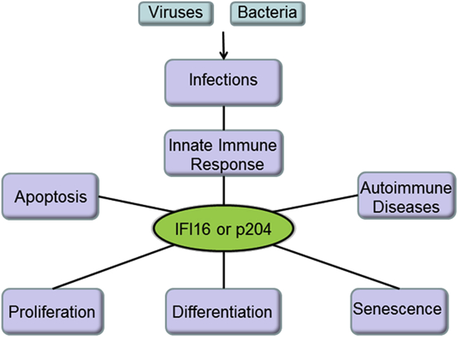 Figure 1