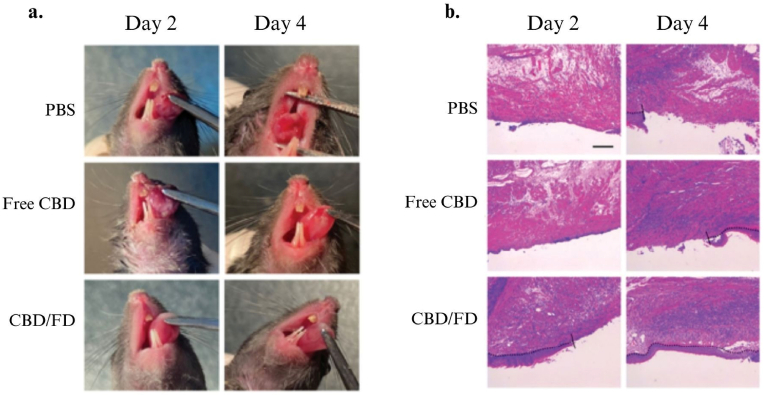 Fig. 4