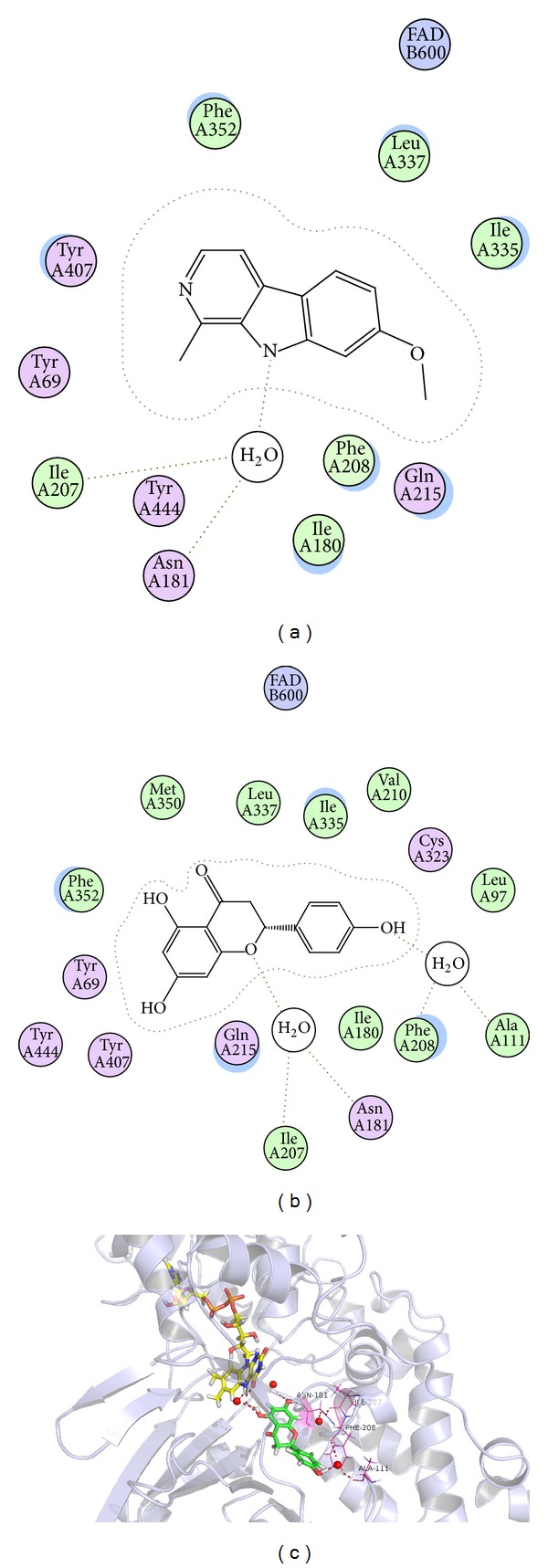 Figure 5