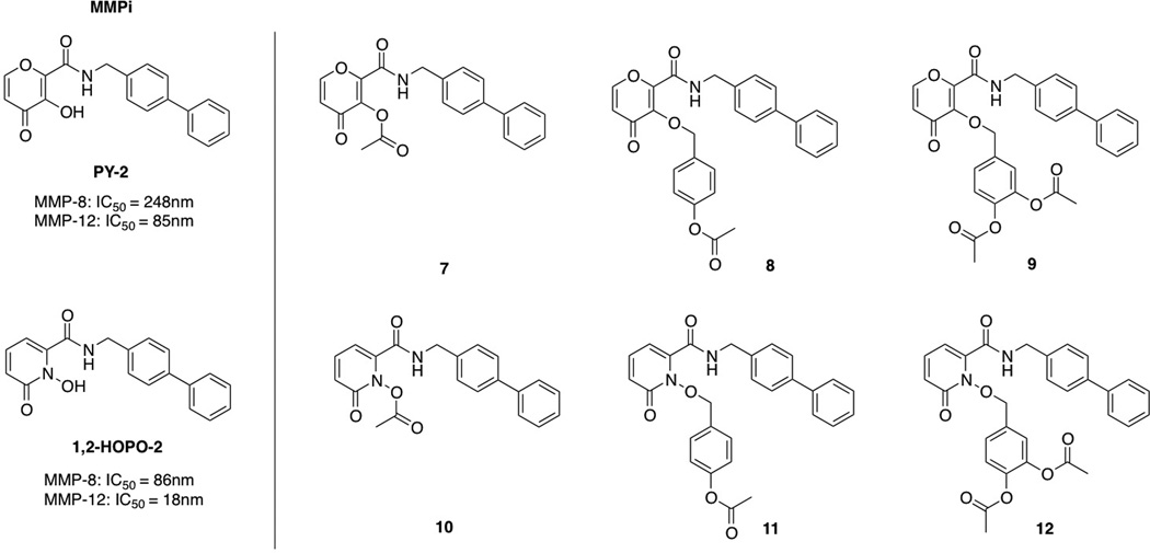 Scheme 2