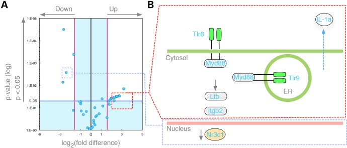 Figure 10.