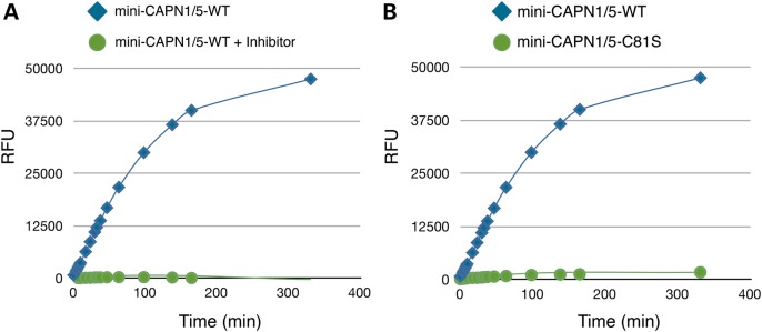 Figure 2.