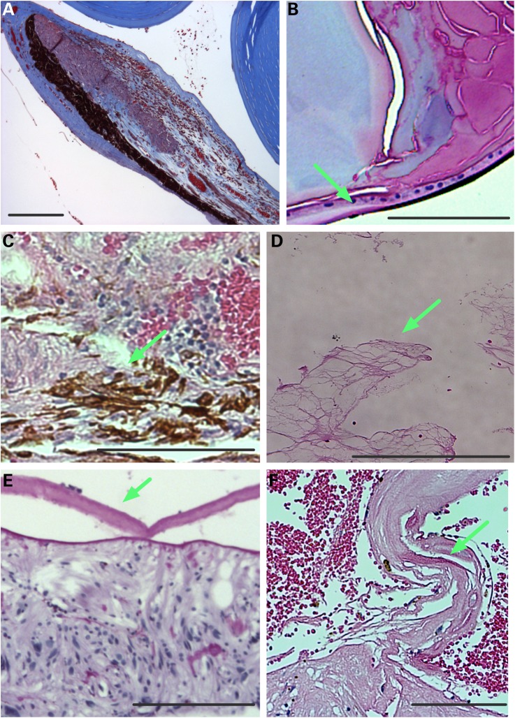 Figure 6.