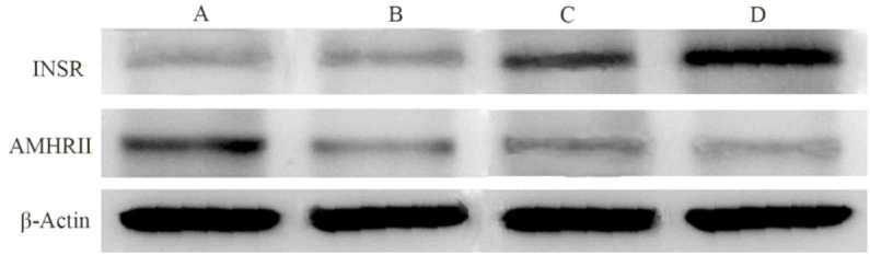 Figure 2.