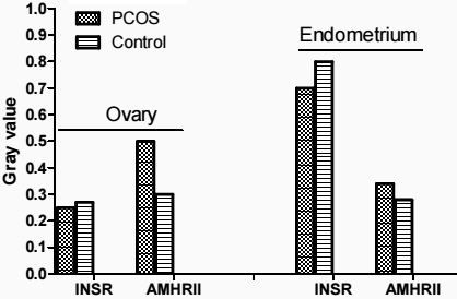 Figure 3.