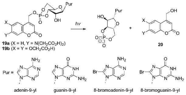 Scheme 12