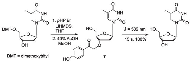 Scheme 5