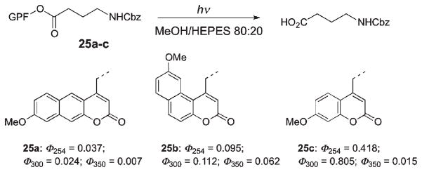 Scheme 16