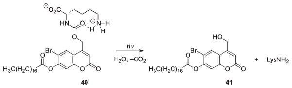 Scheme 23