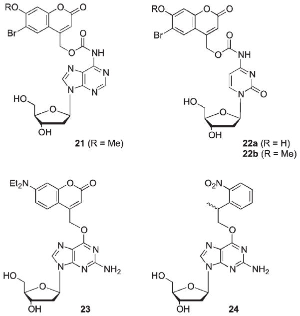 Scheme 13