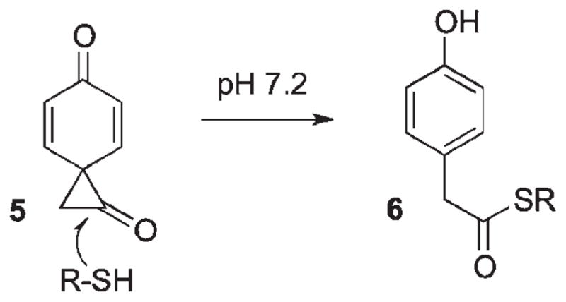 Scheme 3