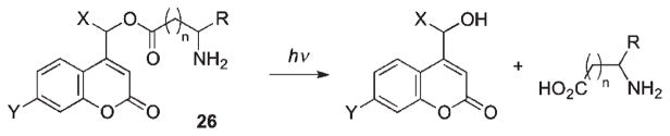 Scheme 17