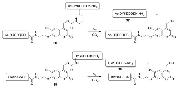 Scheme 22