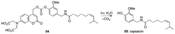 Scheme 30