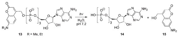 Scheme 9