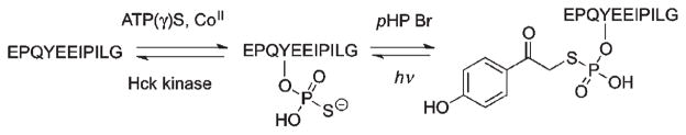 Scheme 4