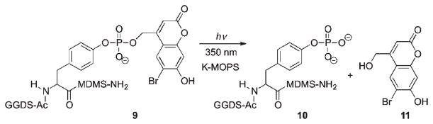 Scheme 7