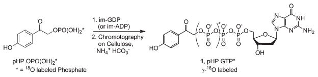 Scheme 2