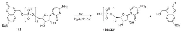 Scheme 8