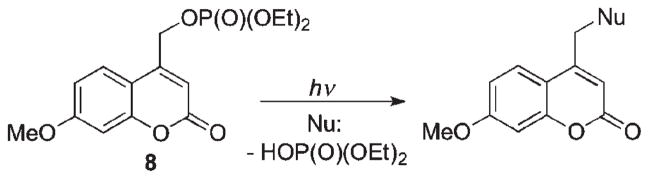 Scheme 6