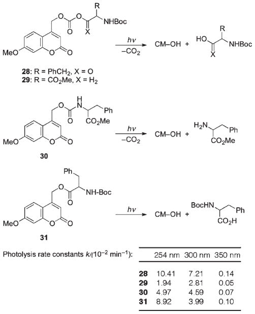 Scheme 19