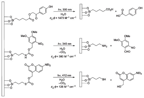 Scheme 25