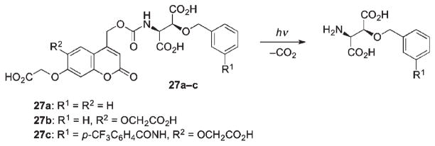 Scheme 18