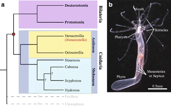 Fig. 11