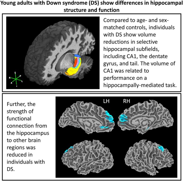 Graphical Abstract