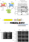 Figure 1.