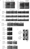 Figure 6.