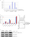 Figure 2.