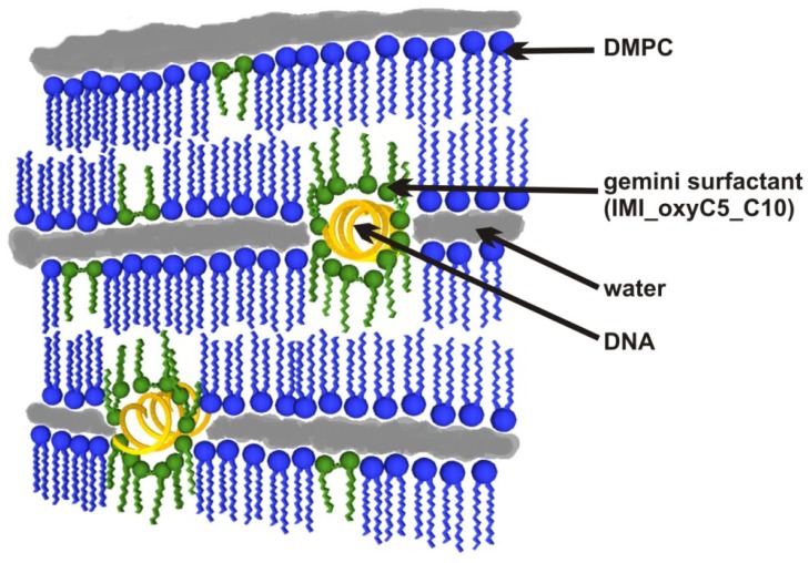 Figure 12