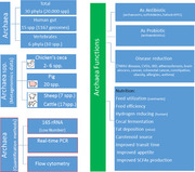 graphic file with name VMS3-11-e70263-g001.jpg