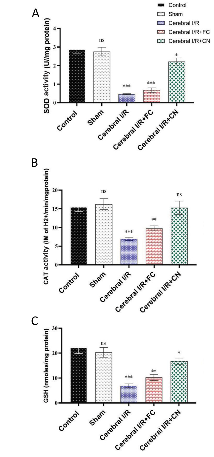 Fig.1