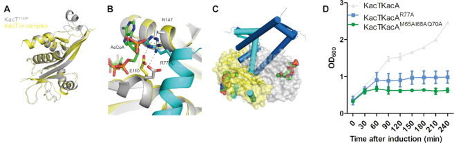 Figure 4.