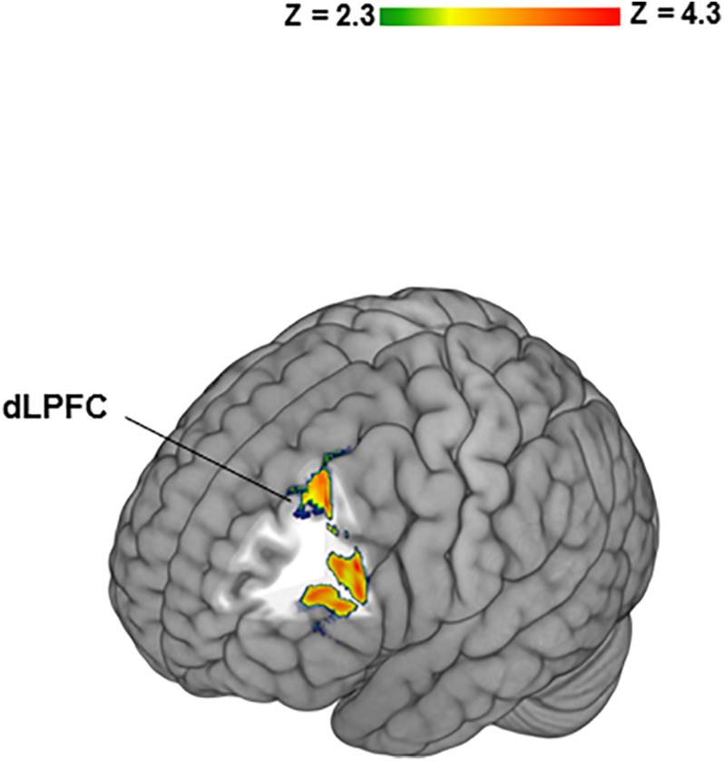 FIGURE 3