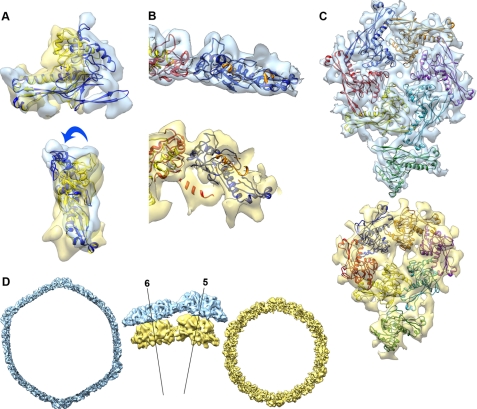 FIGURE 3.