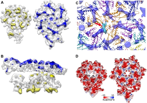 FIGURE 4.