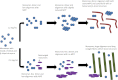 FIGURE 11.