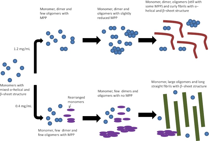 FIGURE 11.