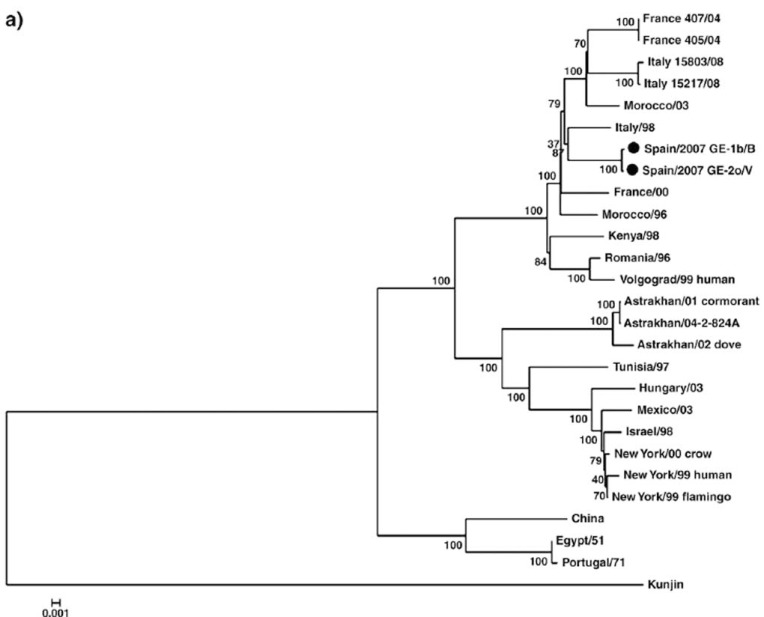 Fig. (1)