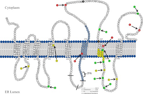 FIGURE 4.