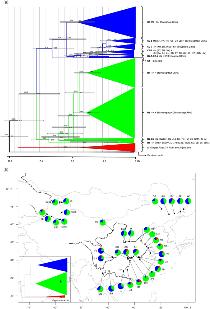 Figure 6