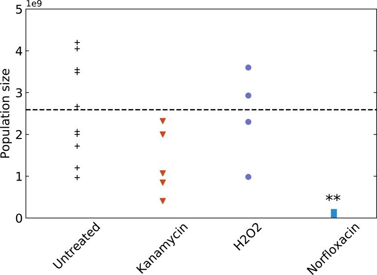 Fig 5