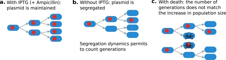 Fig 9