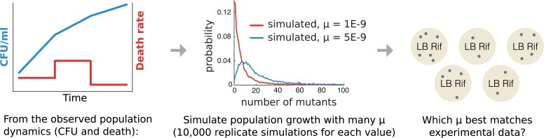 Fig 10