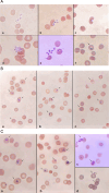 Fig 3