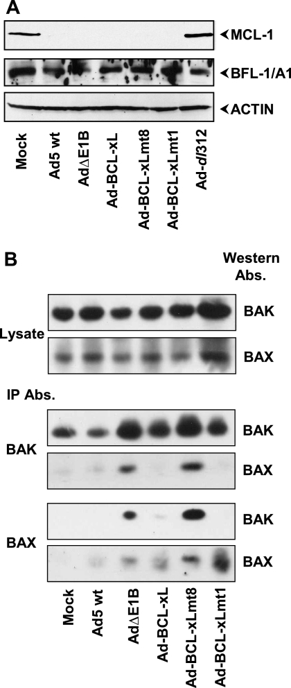 FIG. 3.